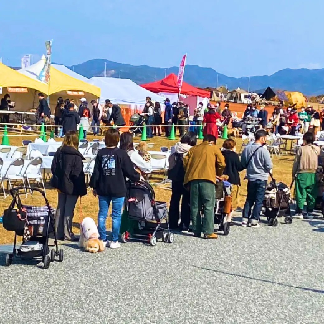 インスタグラムの写真